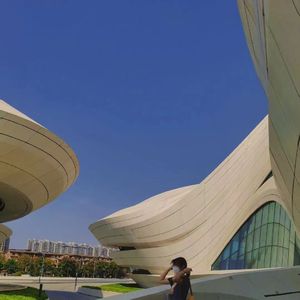 《裸体肉欲》无删减
